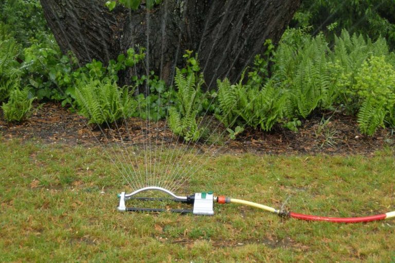 Arrosage automatique : comment optimiser l’irrigation de son jardin