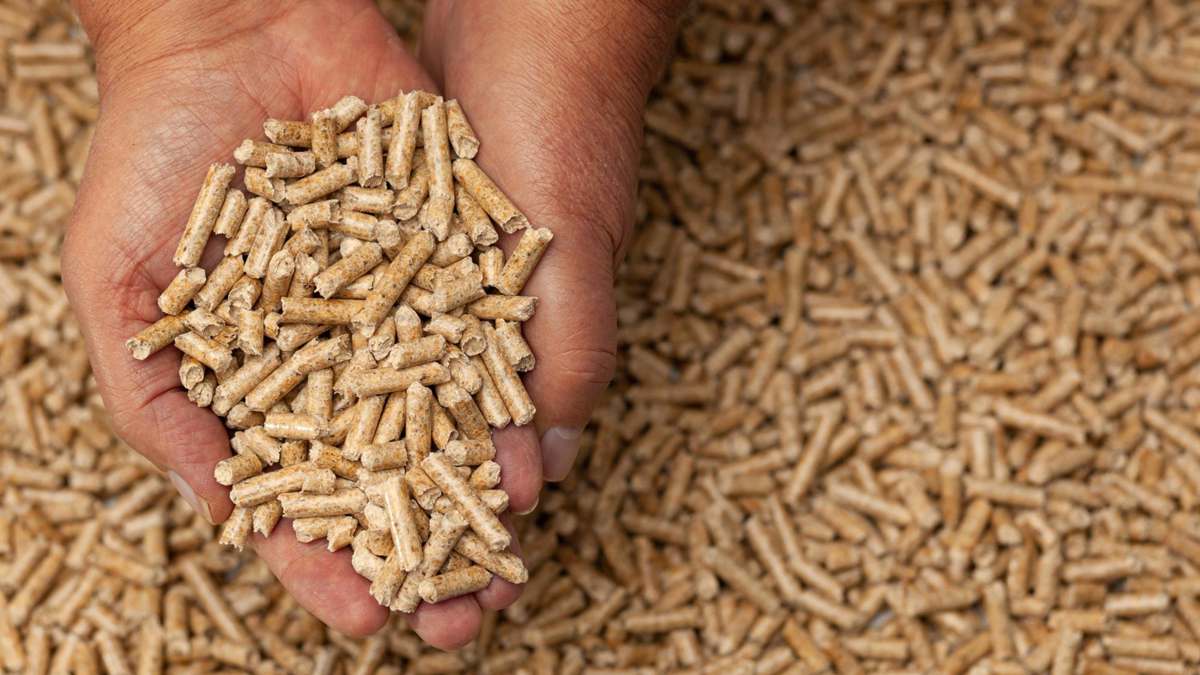 Chauffage aux granulés : quelle consommation prévoir pour une maison de 100 m² ?