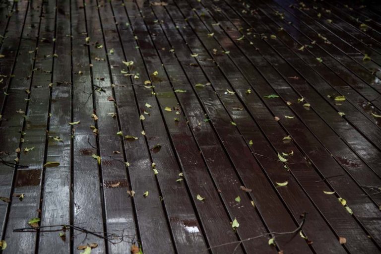 Comment bien entretenir une terrasse en bois tout au long de l’année