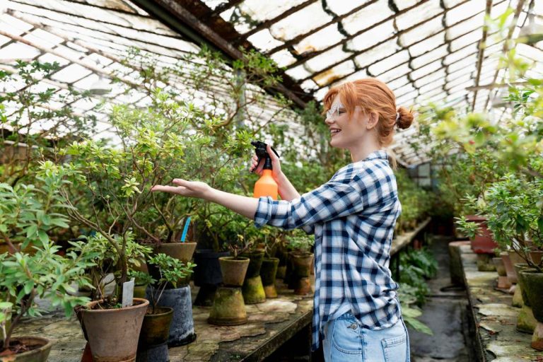 Installer une serre de jardin : ce qu’il faut savoir avant de se lancer