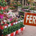 Cette grande enseigne de jardinage jette l’éponge : 9 magasins ferment, découvrez les villes touchées