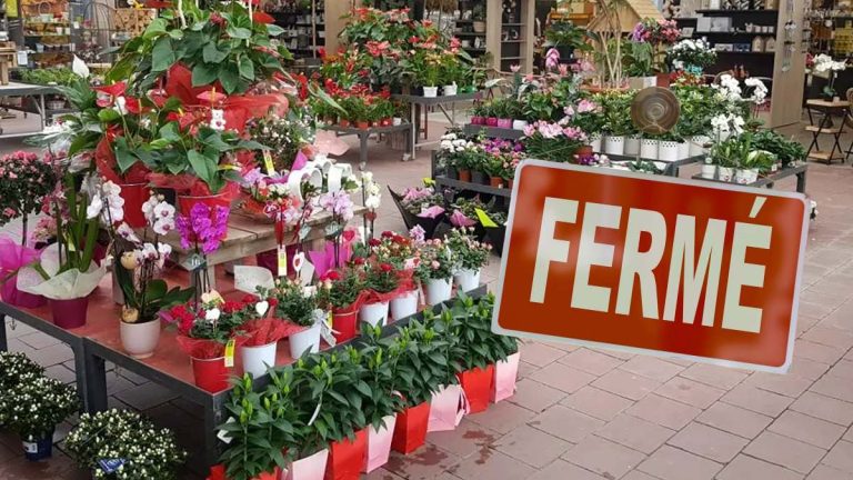 Cette grande enseigne de jardinage jette l’éponge : 9 magasins ferment, découvrez les villes touchées